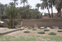 Photo Texture of Landscape Dendera 0186